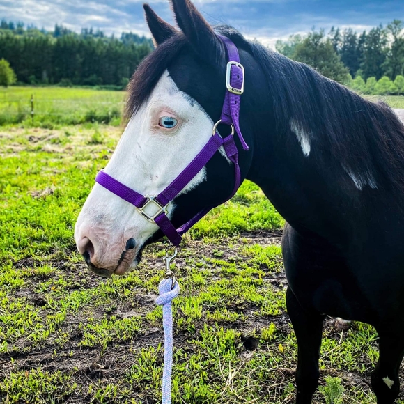 Meet your Posher, Lynda - Picture 9 of 12